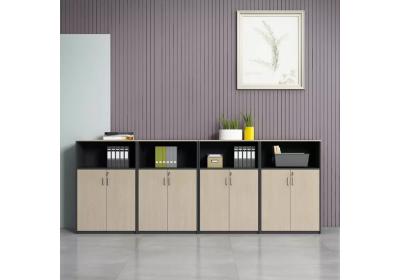 Tủ Hồ Sơ Thấp TMN-11